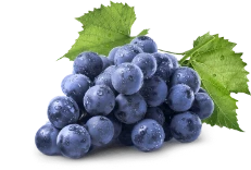 grape-mobile grape-mobile