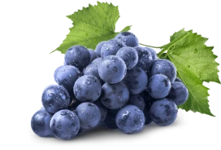 grapes grapes